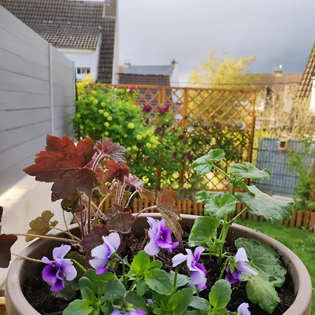 Chez Isa - Maison A 2 Km De La De Le Portel 62 * Outreau